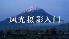 世界杯姐妹-世界杯姐妹，共赴绿茵场的激情与梦想