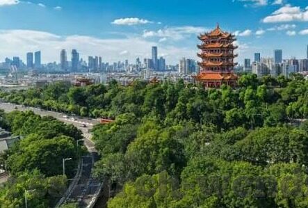 星空体育app注册不了-星空体育app注册困难的原因与解决之道